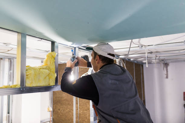 Best Spray Foam Insulation  in Mansfield, OH